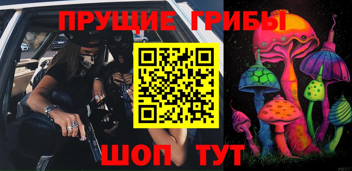 Лесной  Галлюциногенные грибы прущие грибы  Псилоцибиновые грибы Cubensis  Вход с VPN 