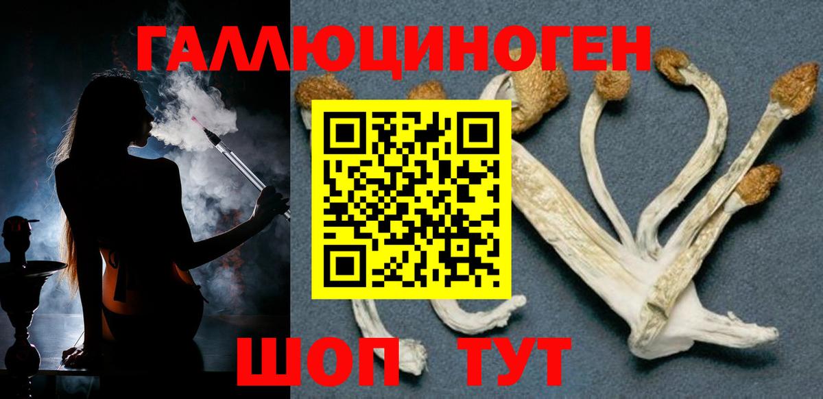 Псилоцибиновые грибы прущие грибы Лесной
